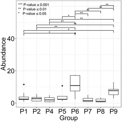 Urethral Catheter Biofilms Reveal Plasticity in Bacterial Composition and Metabolism and Withstand Host Immune Defenses in Hypoxic Environment